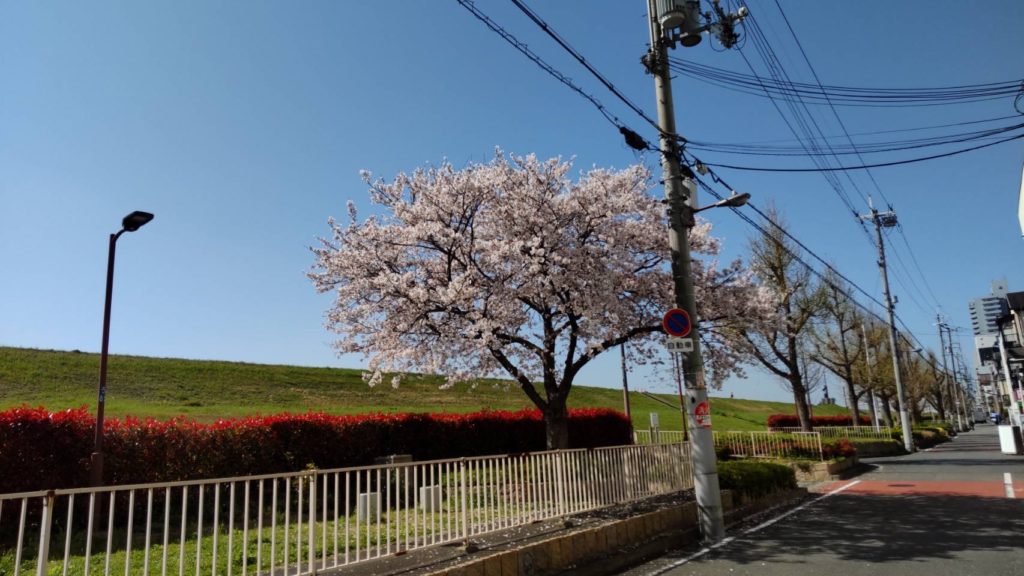 引っ越しの多い桜のシーズン